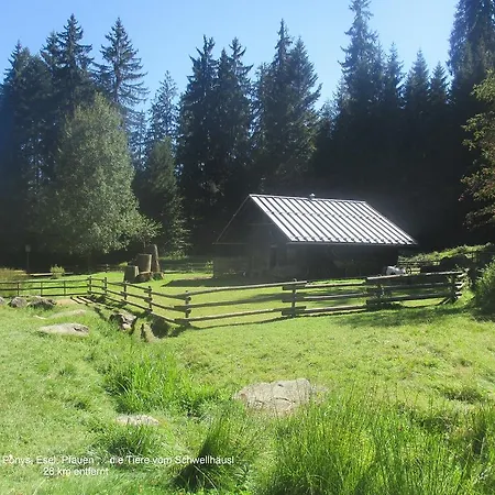 度假居 Waldferiendorf