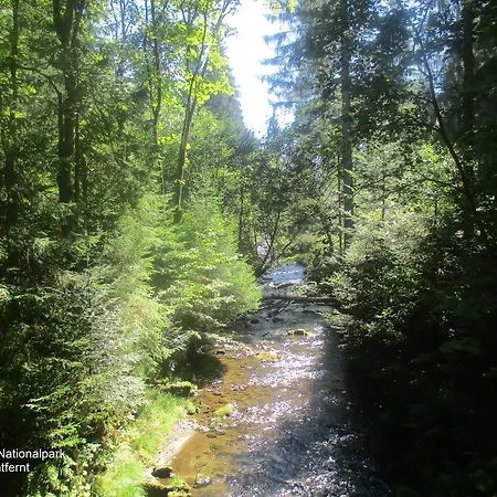 度假居 Waldferiendorf 雷根