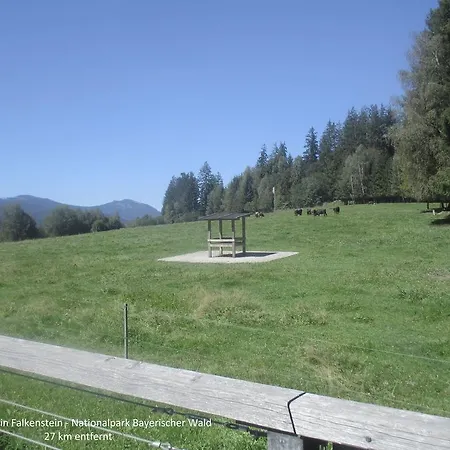 度假居 Waldferiendorf 雷根