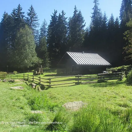 Prázdninový dům Waldferiendorf